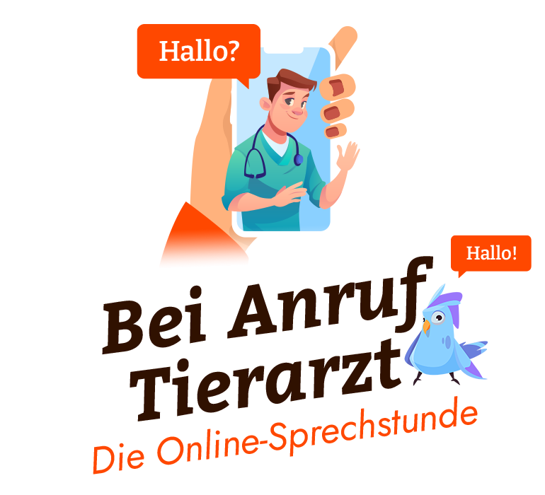 Bei Anruf Tierarzt - DIe Online-Sprechstunde